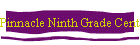 Pinnacle Ninth Grade Center.htm