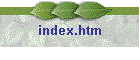 index.htm